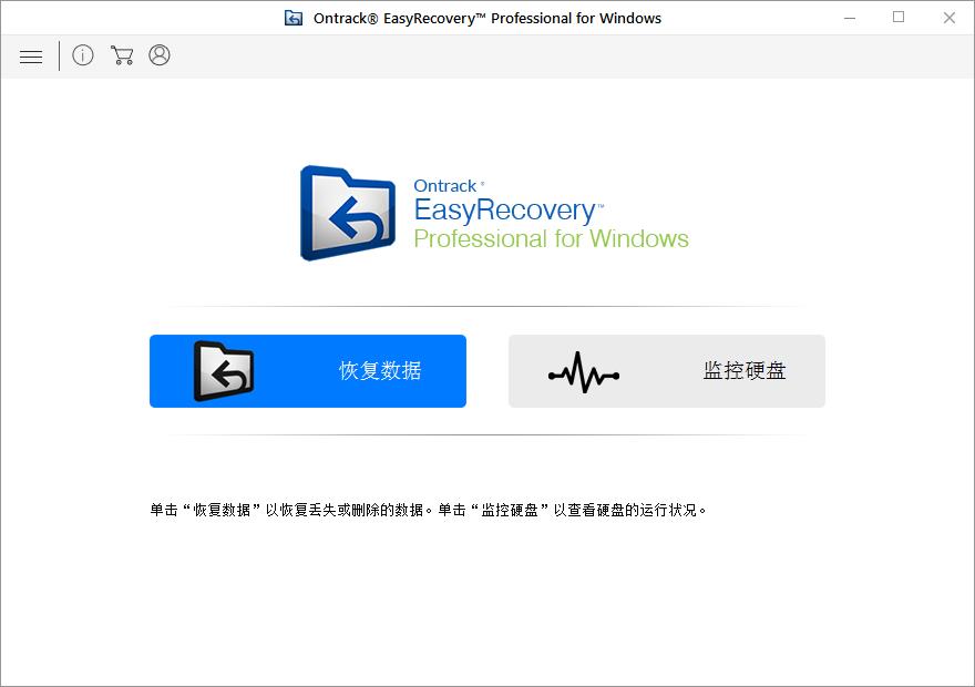 Ontrack EasyRecovery Professional