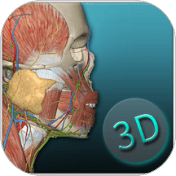 人体解剖学图集免广告版