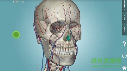 人体解剖学图集安卓版 V3.9.8