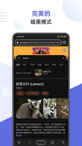 Lemur Browser浏览器