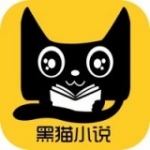 黑猫小说简版