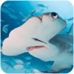 锤头鲨模拟器经典版
